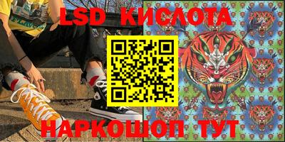 стафф Новодвинск