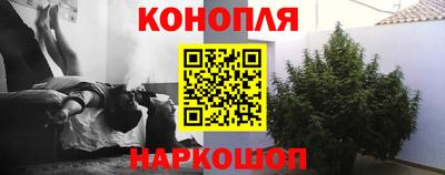 стафф Новодвинск