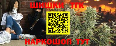 стафф Новодвинск