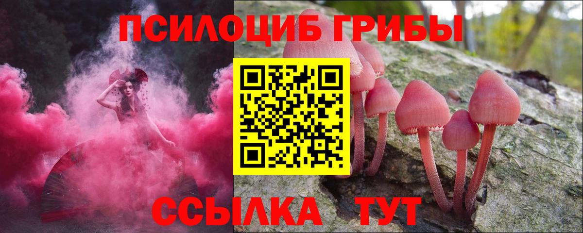 Псилоцибиновые грибы ЛСД  Вход с VPN  Сердобск 